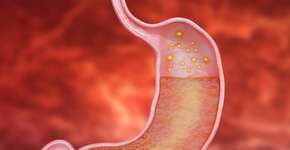 Foto: (Gilnature/istock)