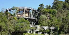 Bosque Zaninelli: pra relaxar e aprender mais sobre meio ambiente!