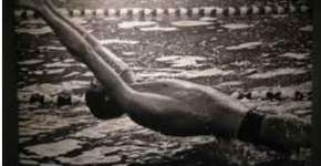 Foto: (Imagem sem texto alternativo disponivel ID [1846492])