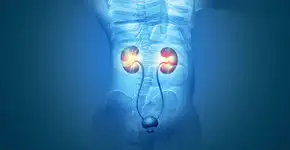 Foto: (Mohammed Haneefa Nizamudeen/istock)