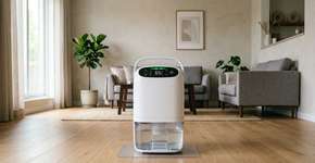 Cinco lugares na casa onde você nunca deve ligar o desumidificador