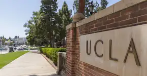 Confira programa de bolsas no exterior para estudantes LGBTQIA+