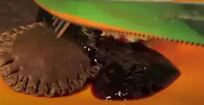 Ravióli de chocolate recheado: receita vai encher sua boca d’água