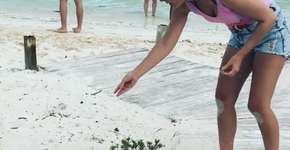 Foto: (Imagem sem texto alternativo disponivel ID [1343722])