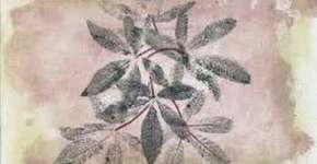 Aula de frotagem no Sesc Belenzinho