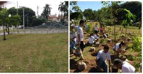 Foto: (Imagem sem texto alternativo disponivel ID [1836310])