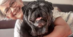 Foto: (Imagem sem texto alternativo disponivel ID [2636055])