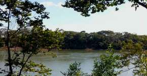 Foto: (Imagem sem texto alternativo disponivel ID [812140])