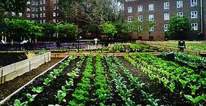 Foto: (Imagem sem texto alternativo disponivel ID [447407])