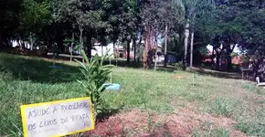 ‘Vizinhos do bem’ reformam praças de Ribeirão Preto (SP)