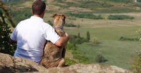 Foto: (Imagem sem texto alternativo disponivel ID [962317])