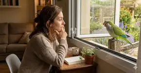 Se você escuta papagaios cantando perto de sua casa ou jardim durante o dia, te diremos o que isso significa e por que é bom