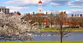 Foto: (Imagem sem texto alternativo disponivel ID [1851987])