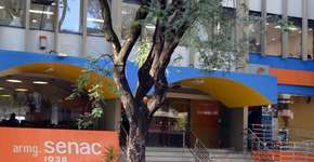 Foto: (Divulgação)