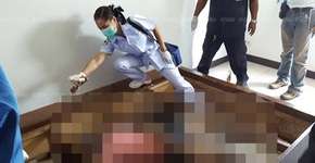 Foto: (Imagem sem texto alternativo disponivel ID [1129022])