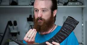 Foto: (Imagem sem texto alternativo disponivel ID [1834261])