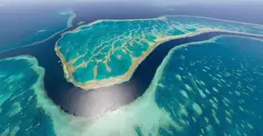 Foto: (Imagem sem texto alternativo disponivel ID [841875])