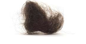 Foto: (ImagePixel/istock)