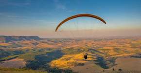 Foto: (Divulgação)