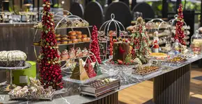 Foto: (Divulgação)