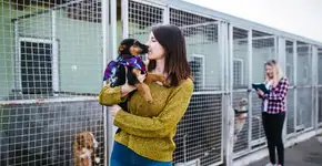 Oito em cada 10 pets adotados no Brasil vêm de resgates de rua ou redes informais