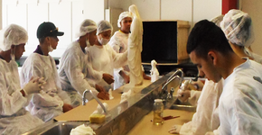 Foto: (Imagem sem texto alternativo disponivel ID [810898])