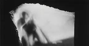 Foto: (Imagem sem texto alternativo disponivel ID [1540411])