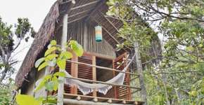 Resort no sul da Bahia oferece hospedagem em casas na árvore