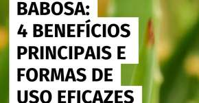 4 benefícios essenciais e formas seguras de uso da babosa