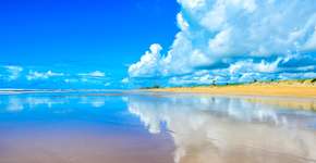 Foto: (Imagem sem texto alternativo disponivel ID [1868878])