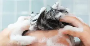 Foto: (Tatiana/istock)