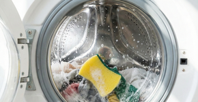 Foto: (Imagem gerada por IA/Gemini)