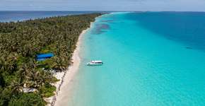 Foto: (Istock/Jonathan Siemens)