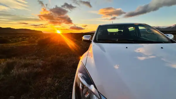 Paisagens e momentos do Puma Tour, passeio especializado para ver puma em Torres del Paine