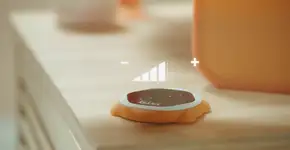 Foto: (Imagem sem texto alternativo disponivel ID [1182592])