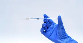 Foto: (Pawel Kacperek/istock)