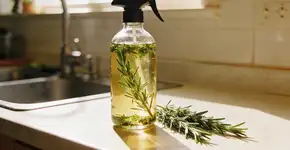 Foto: (Imagem sem texto alternativo disponivel ID [2682315])