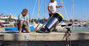 Australianos criam lixeira para retirar plástico do oceano