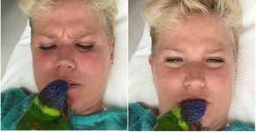 Foto: (Imagem sem texto alternativo disponivel ID [1179698])