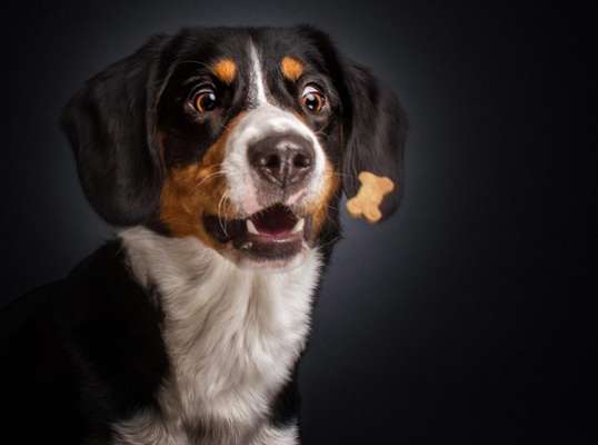 Todos as fotos por Christian Vieler / Reprodução