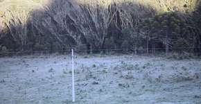 Termômetros na Serra Catarinense marcam 1ºC em pleno verão