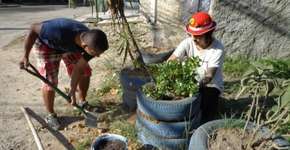 Catumbi recebe Mutirão Planta na Rua