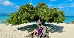 Eagle Beach, em Aruba, é eleita a melhor praia do Caribe