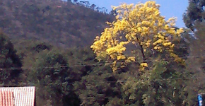 Foto: (Imagem sem texto alternativo disponivel ID [1130552])