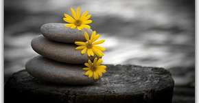 Workshop de Terapia Reich em Niterói