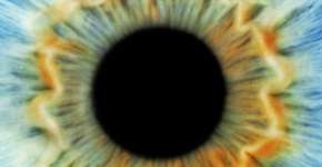 Foto: (Imagem sem texto alternativo disponivel ID [1833356])