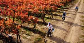 Foto: (Sara Matthews Photography/Divulgação/Concha Y Toro)