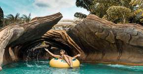 Foto: (Imagem sem texto alternativo disponivel ID [1870264])