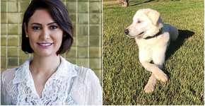 Cachorro adotado por Michelle Bolsonaro tem dono e é devolvido
