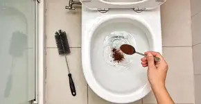 Foto: (Imagem sem texto alternativo disponivel ID [2719897])